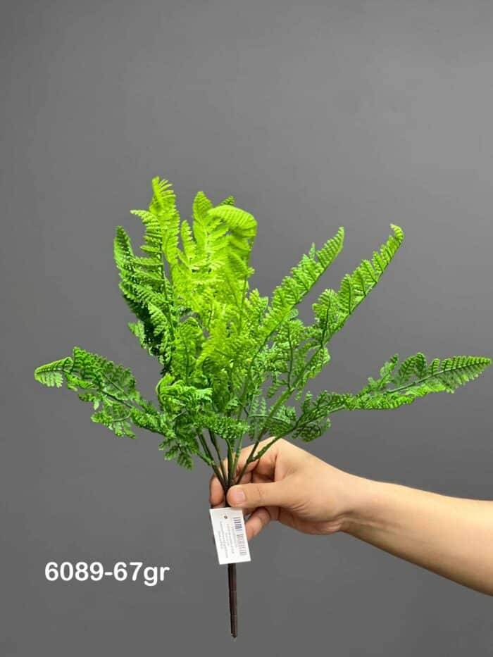 Fern - 6089-67