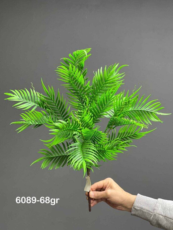 Fern - 6089-68