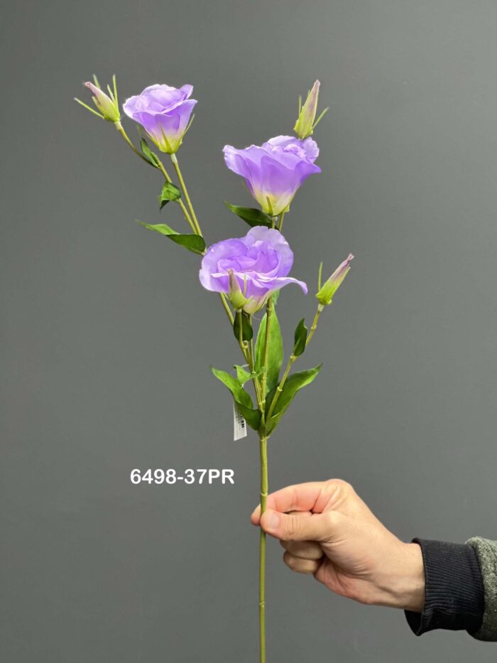 Lisianthus - 6498-37