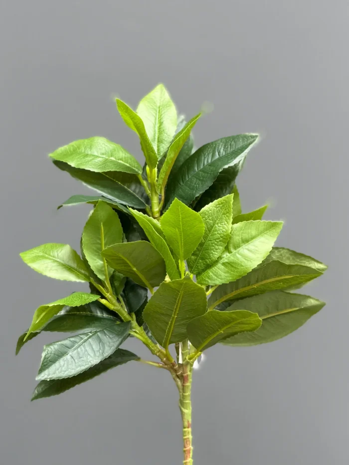 Greenery leaves - 6652-4