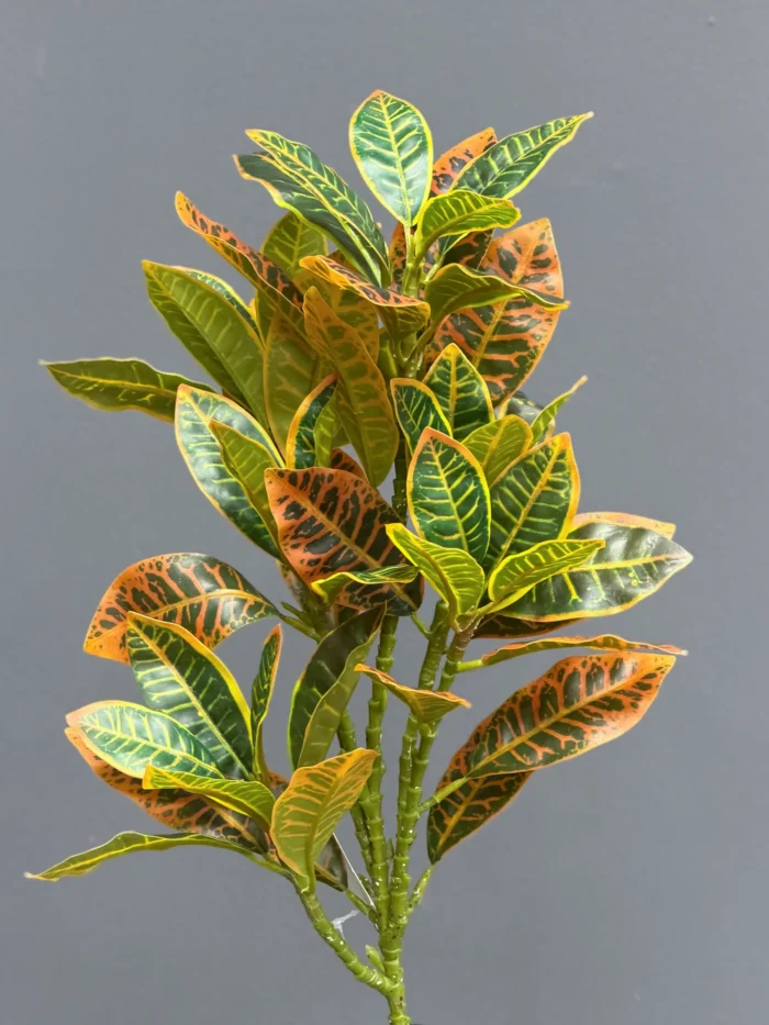 Greenery leaves - 6652-5