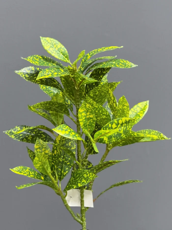 Greenery leaves - 6652-6