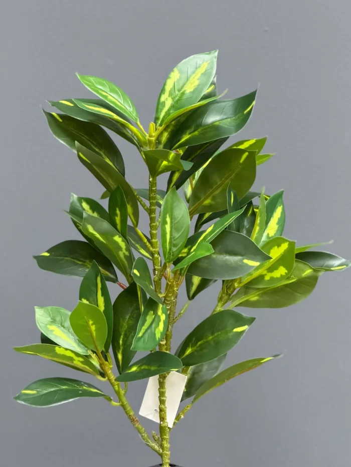 Greenery leaves - 6652-7