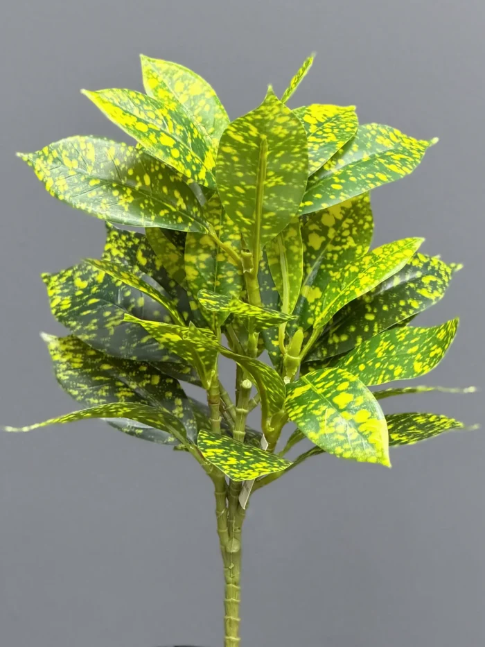 Greenery leaves - 6652