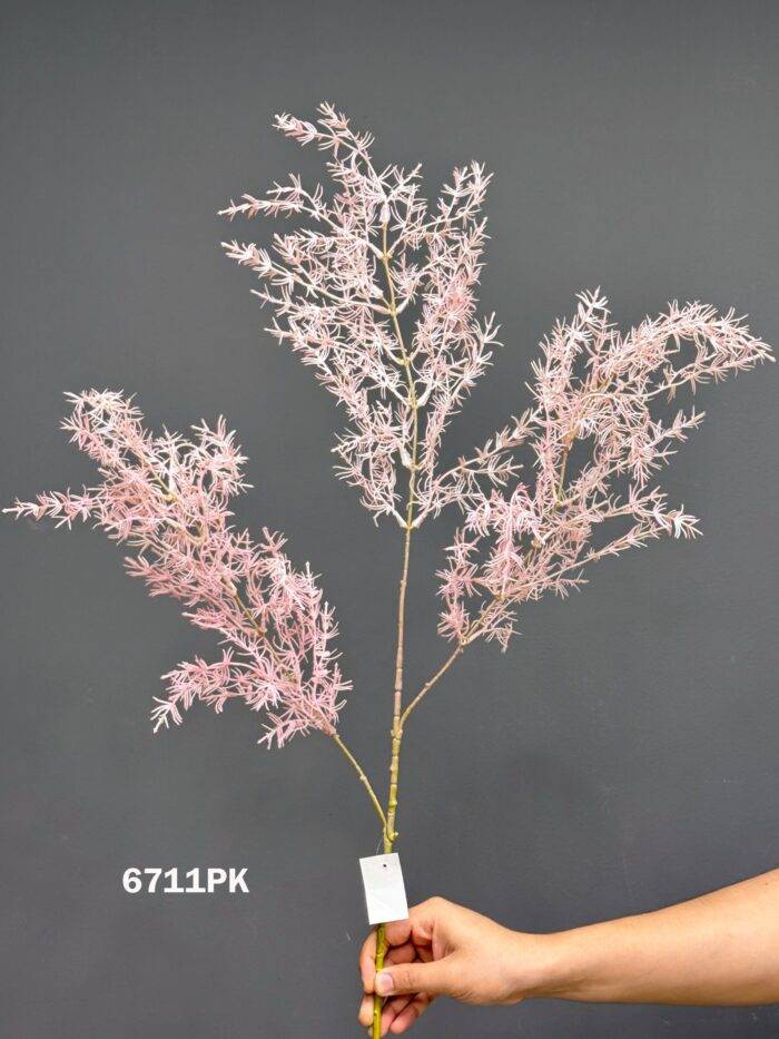 Accessories - 6711PK