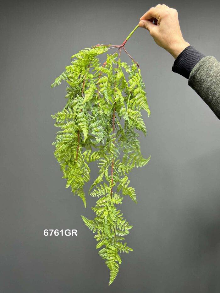 Hanging greenery - 6761