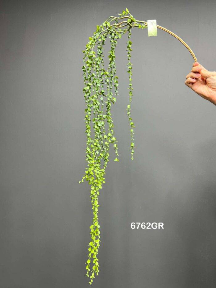 Hanging greenery - 6762