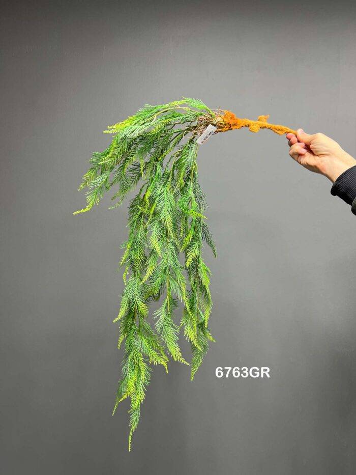 Hanging greenery - 6763