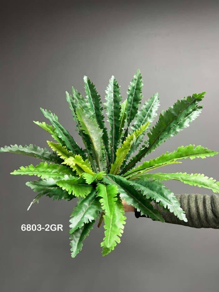 Greenery - 6803-2