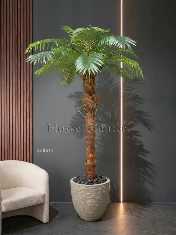 Artificial Phoenix Palm Tree 210 cm – Textured Natural-Look Trunk
