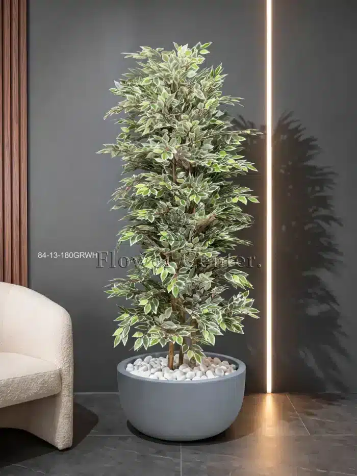 Artificial Variegated Ficus Tree 180 cm – Green and White Leaves