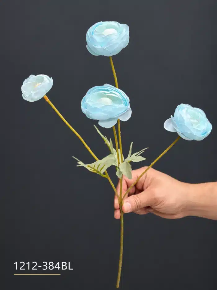 Ranunculus 1212-384
