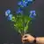 MA4086-18 Blue