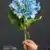 MA5010-10 Blue