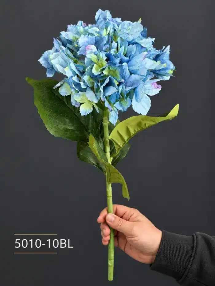 Hydrangea 5010-10