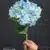 MA5010-11 Blue
