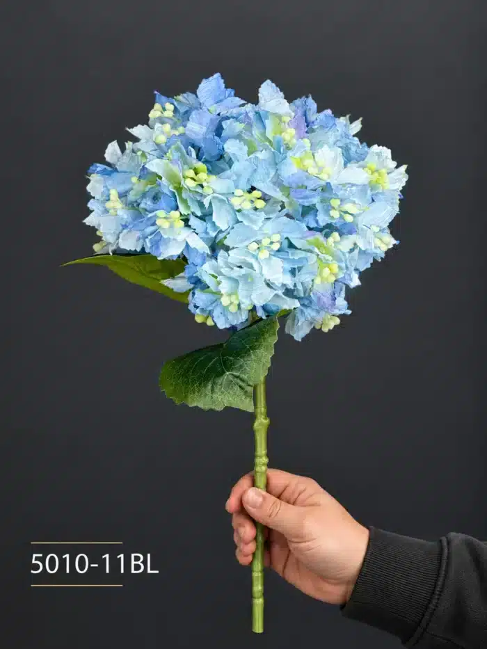 Hydrangea 5010-11