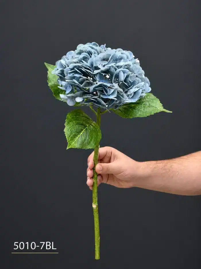 Hydrangea 5010-7