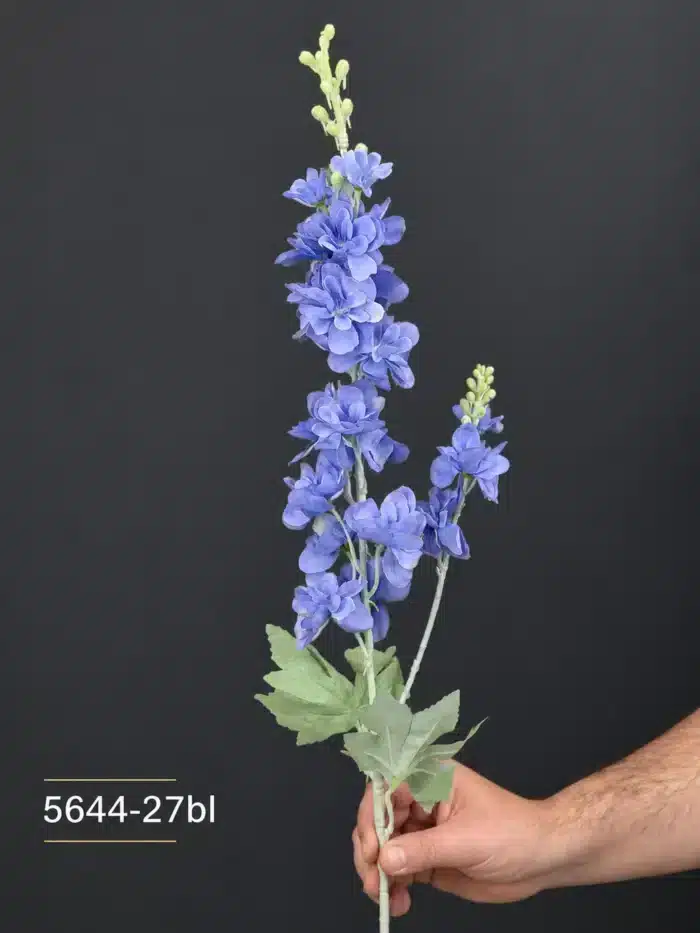 Delphinium 5644-27