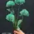 MA6451-7 Teal Blue
