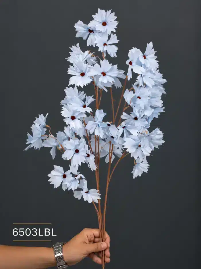 Cosmos Spray 6503