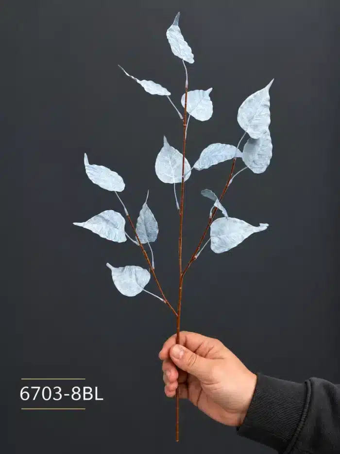 Eucalyptus Branch 6703-8