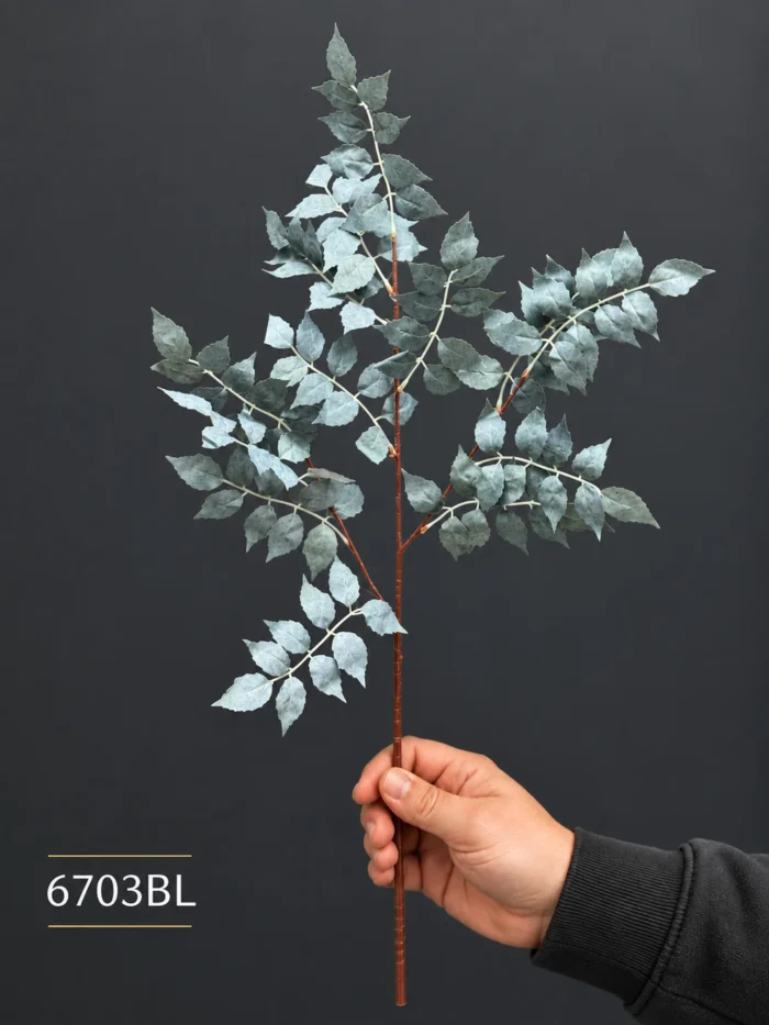 Eucalyptus Branch 6703