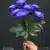 MA6725 Dark Blue