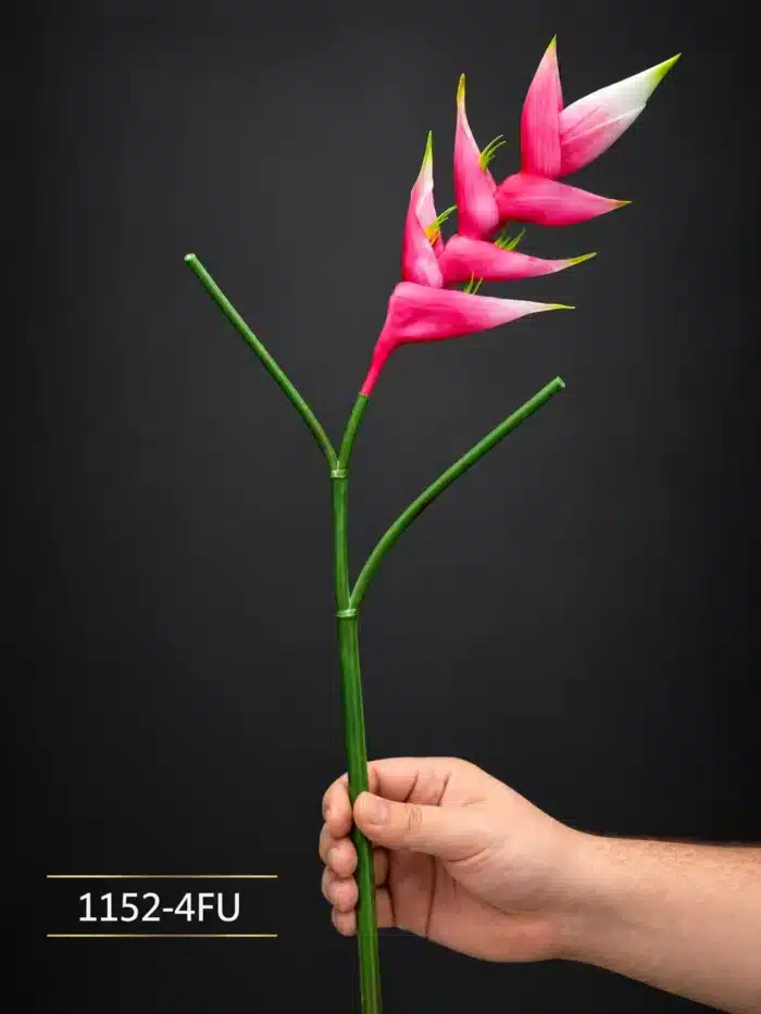 Bird of Paradise 1152-4