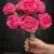 MA1255-102 Fuchsia