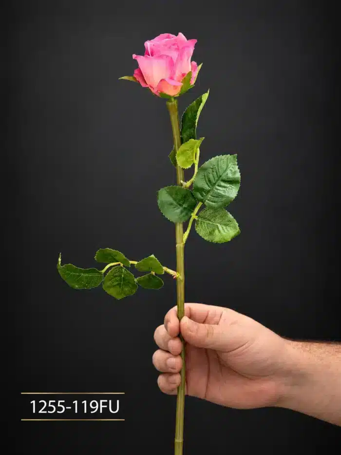 Rose 1255-119