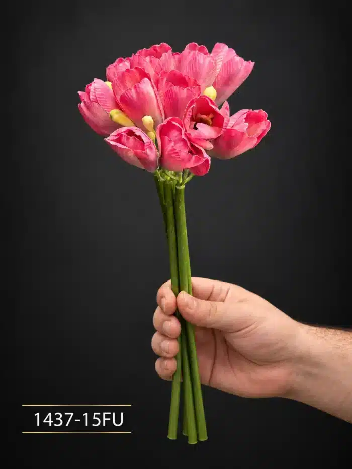 Tulip 1437-15