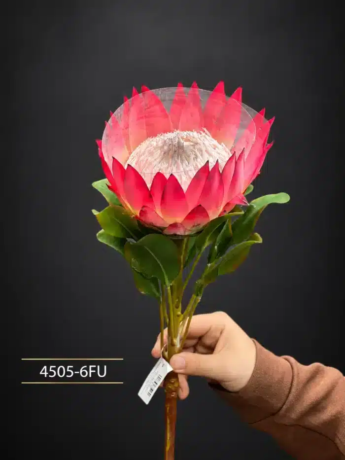 Protea 4505-6
