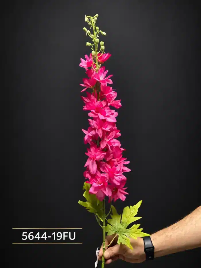 Delphinium 5644-19