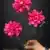 MA6694 Fuchsia