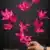 MA6699 Fuchsia