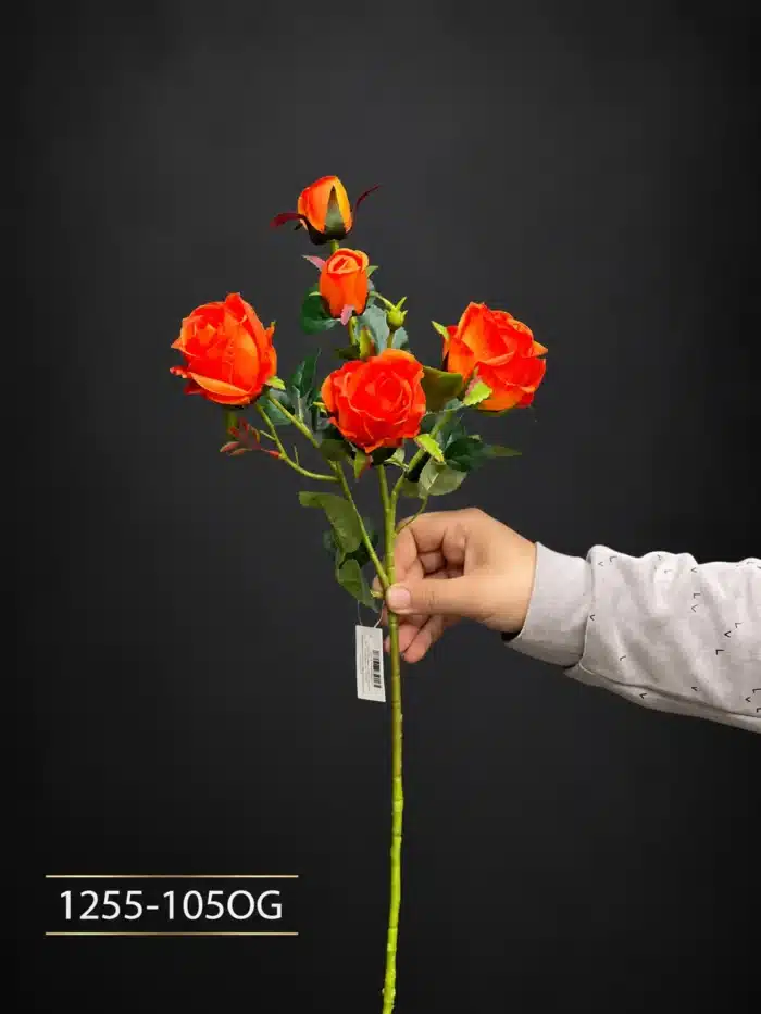 Rose 1255-105