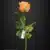 MA1255-119 Orange