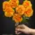 MA1255-83 Dark Orange