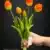 MA1437-10 Orange