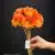 MA1794-1 Orange