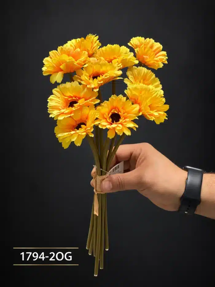 Gerbera 1794-2