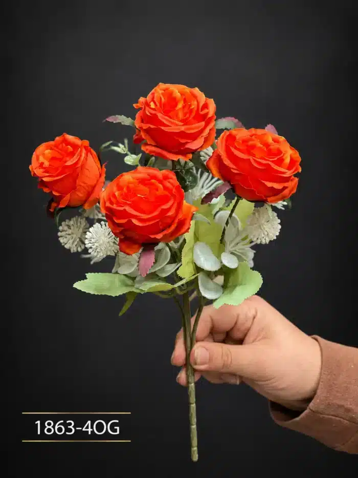 Rose 1863-4