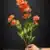 MA4086-17 Orange