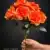 MA5891-18 Dark Orange