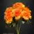 MA5891-18 Orange