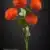 MA6451-7 Orange