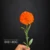 MA6451-8 Orange