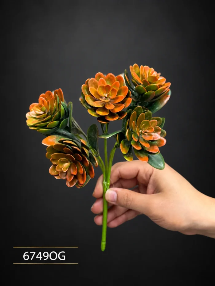 Succulent Pick 6749