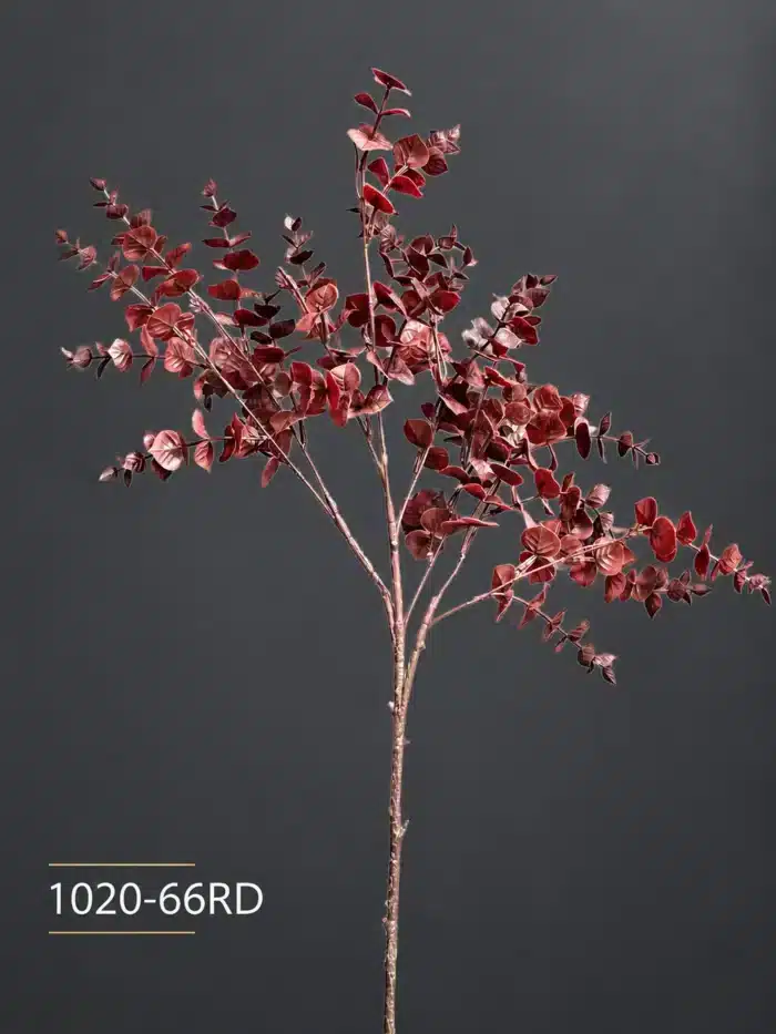 Eucalyptus - 1020-66